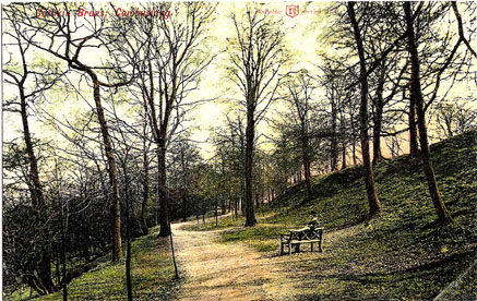 Cathkin Braes - circa 1900 - Card Dated 1909 - Published by Peddie & Coy. Cambuslang